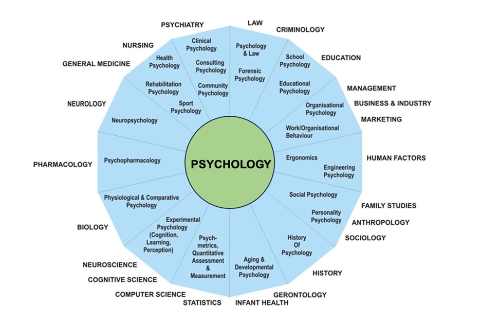 Psychology Career Options Chart